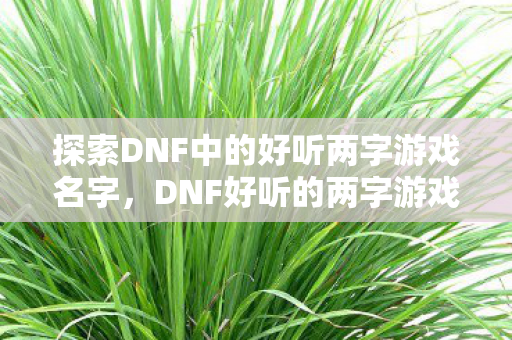 探索DNF中的好听两字游戏名字图片