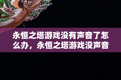 永恒之塔游戏没有声音了怎么办图片