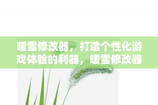 暖雪修改器,打造个性化游戏体验的利器,暖雪修改器,打造个性化游戏体验的利器 暖雪修改器,打造个性化游戏体验的利器,暖雪修改器,打造个性化游戏体验的利器