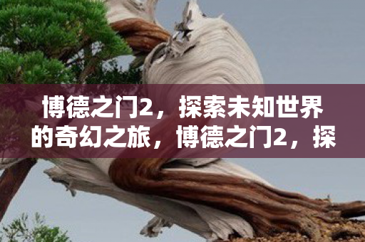 博德之门2,探索未知世界的奇幻之旅,博德之门2,探索未知世界的奇幻冒险之旅 博德之门2,探索未知世界的奇幻之旅,博德之门2,探索未知世界的奇幻冒险之旅