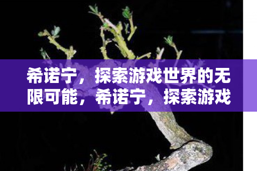 希诺宁，探索游戏世界的无限可能，希诺宁，探索游戏世界的无限可能