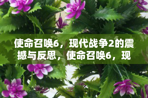 使命召唤6,现代战争2的震撼与反思,使命召唤6,现代战争2的震撼与反思 使命召唤6,现代战争2的震撼与反思,使命召唤6,现代战争2的震撼与反思