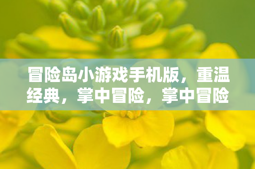 冒险岛小游戏手机版,重温经典,掌中冒险,掌中冒险!冒险岛小游戏手机版重温经典 冒险岛小游戏手机版,重温经典,掌中冒险,掌中冒险!冒险岛小游戏手机版重温经典