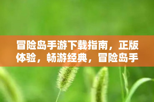 冒险岛手游下载指南,正版体验,畅游经典,冒险岛手游下载指南,正版体验,畅游经典 冒险岛手游下载指南,正版体验,畅游经典,冒险岛手游下载指南,正版体验,畅游经典