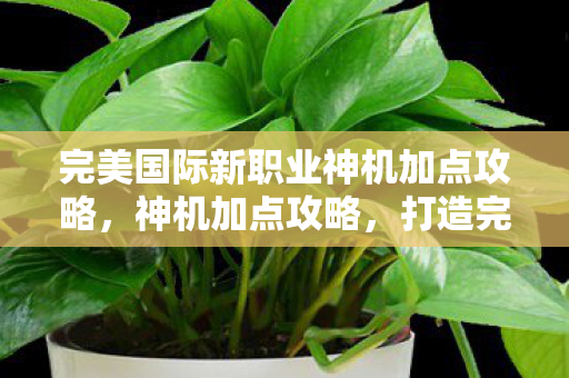 完美国际新职业神机加点攻略,神机加点攻略,打造完美国际新职业 完美国际新职业神机加点攻略,神机加点攻略,打造完美国际新职业
