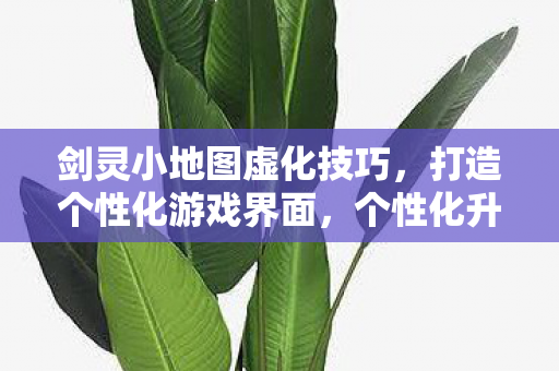 揭秘剑灵小地图虚化技巧图片