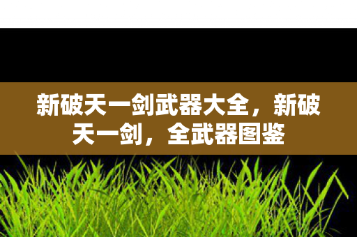 新破天一剑武器大全,新破天一剑,全武器图鉴 新破天一剑武器大全,新破天一剑,全武器图鉴