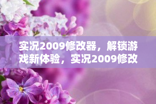 实况2009修改器图片
