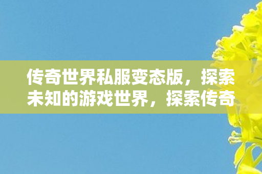 探索传奇世界私服变态版图片