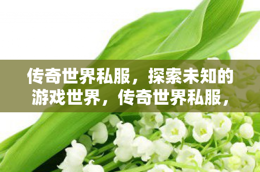 探索未知的游戏世界图片