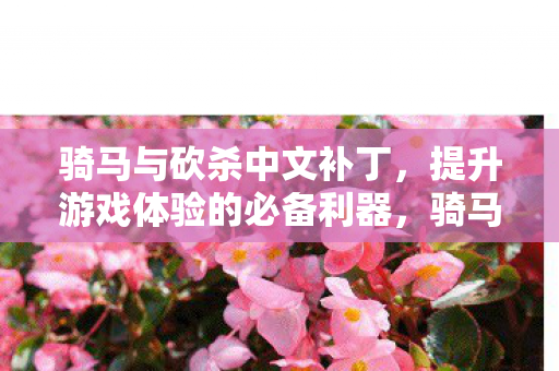 提升游戏体验的必备利器图片