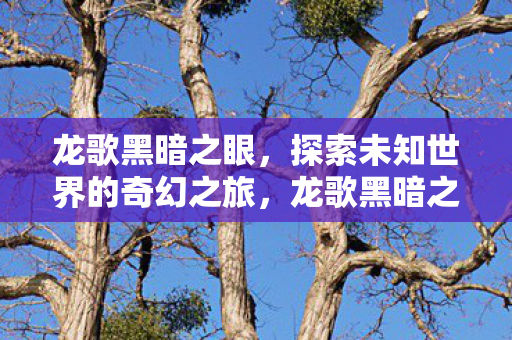 龙歌黑暗之眼,探索未知世界的奇幻之旅,龙歌黑暗之眼,奇幻之旅,探索未知世界 龙歌黑暗之眼,探索未知世界的奇幻之旅,龙歌黑暗之眼,奇幻之旅,探索未知世界