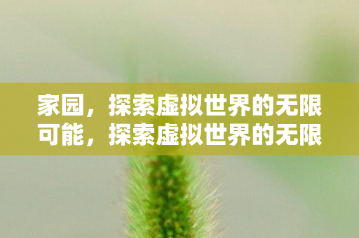 家园，探索虚拟世界的无限可能，探索虚拟世界的无限可能，家园之旅
