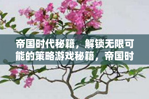 帝国时代秘籍,解锁无限可能的策略游戏秘籍,帝国时代,解锁无限可能的策略游戏秘籍 帝国时代秘籍,解锁无限可能的策略游戏秘籍,帝国时代,解锁无限可能的策略游戏秘籍