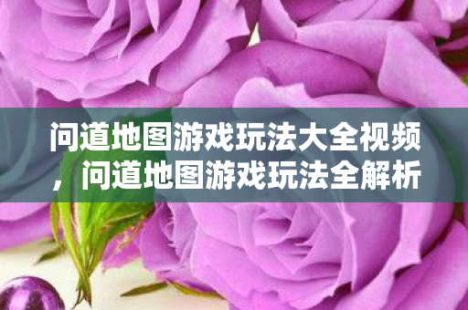 问道地图游戏玩法大全视频图片