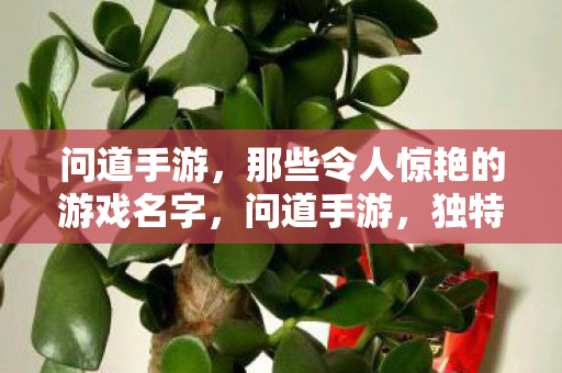 那些令人惊艳的游戏名字图片