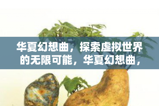 华夏幻想曲,探索虚拟世界的无限可能,华夏幻想曲,探索虚拟世界的无限可能 华夏幻想曲,探索虚拟世界的无限可能,华夏幻想曲,探索虚拟世界的无限可能