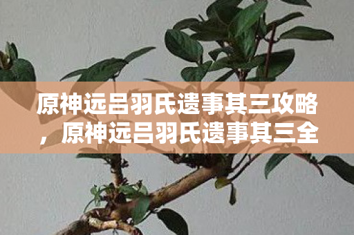 原神远吕羽氏遗事其三攻略,原神远吕羽氏遗事其三全流程攻略 原神远吕羽氏遗事其三攻略,原神远吕羽氏遗事其三全流程攻略