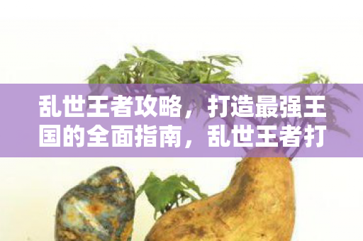 乱世王者攻略,打造最强王国的全面指南,乱世王者打造最强王国全面攻略 乱世王者攻略,打造最强王国的全面指南,乱世王者打造最强王国全面攻略