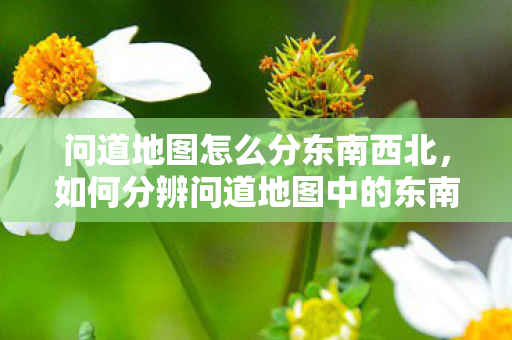 如何分辨问道地图中的东南西北图片