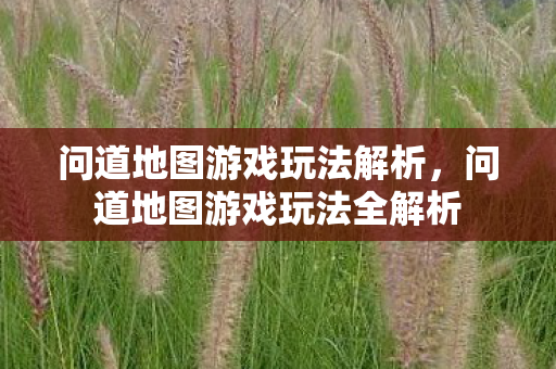 问道地图游戏玩法全解析图片