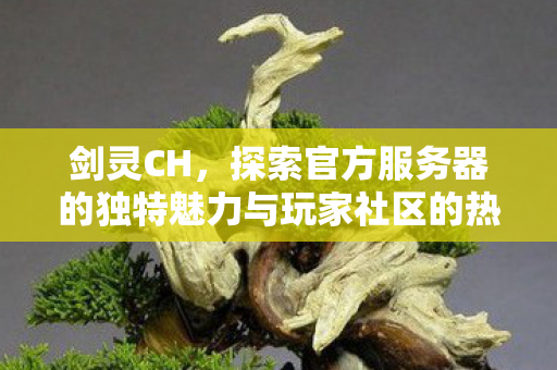 探索官方服务器的独特魅力与玩家社区的热度图片