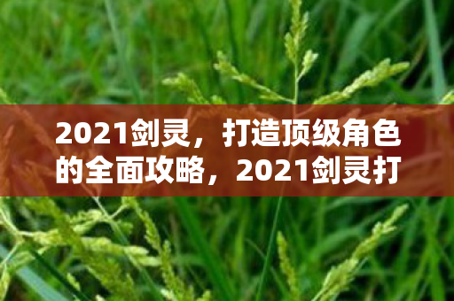 2021剑灵打造顶级角色全面攻略图片