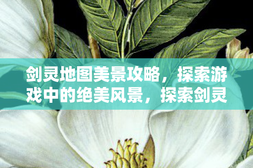 探索游戏中的绝美风景图片