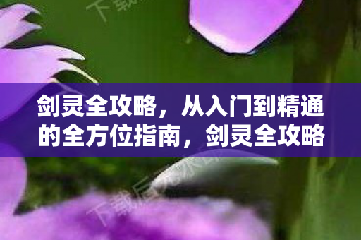剑灵全攻略,从入门到精通的全方位指南,剑灵全攻略,从入门到精通的全方位指南 剑灵全攻略,从入门到精通的全方位指南,剑灵全攻略,从入门到精通的全方位指南