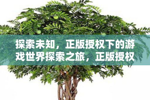 正版授权下的游戏世界探索之旅图片