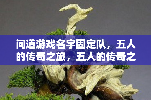 问道游戏名字固定队图片