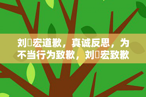 刘畊宏道歉,真诚反思,为不当行为致歉,刘畊宏致歉,真诚反思不当行为 刘畊宏道歉,真诚反思,为不当行为致歉,刘畊宏致歉,真诚反思不当行为
