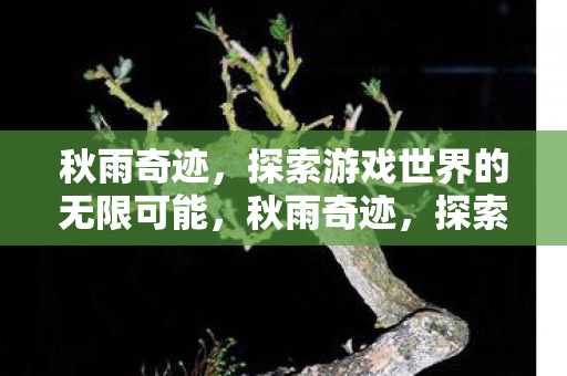 秋雨奇迹,探索游戏世界的无限可能,秋雨奇迹,探索游戏世界的无限可能 秋雨奇迹,探索游戏世界的无限可能,秋雨奇迹,探索游戏世界的无限可能