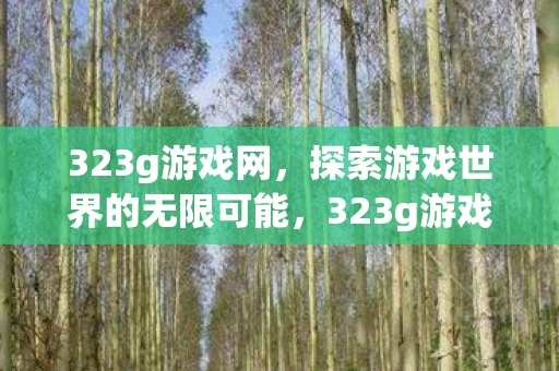 323g游戏网,探索游戏世界的无限可能,323g游戏网,探索游戏世界的无限可能 323g游戏网,探索游戏世界的无限可能,323g游戏网,探索游戏世界的无限可能
