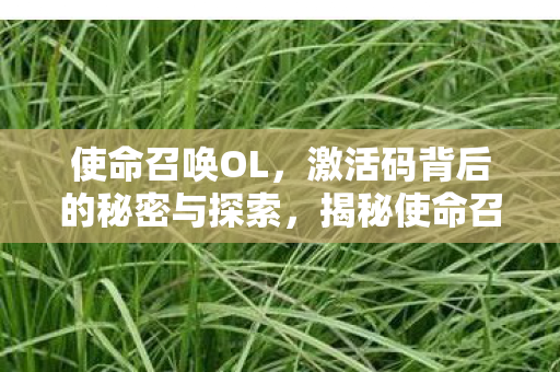 使命召唤OL，激活码背后的秘密与探索，揭秘使命召唤OL激活码背后的秘密与探索