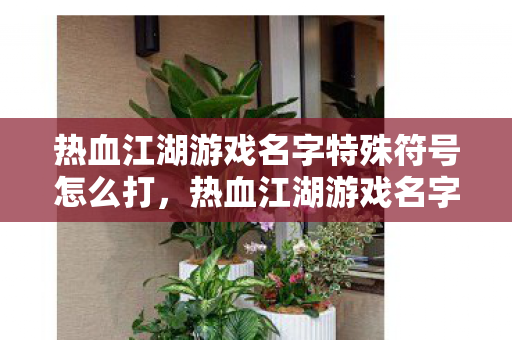 热血江湖游戏名字特殊符号怎么打图片