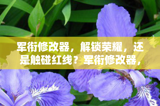 军衔修改器,解锁荣耀,还是触碰红线?军衔修改器,解锁荣耀还是触碰红线? 军衔修改器,解锁荣耀,还是触碰红线?军衔修改器,解锁荣耀还是触碰红线?