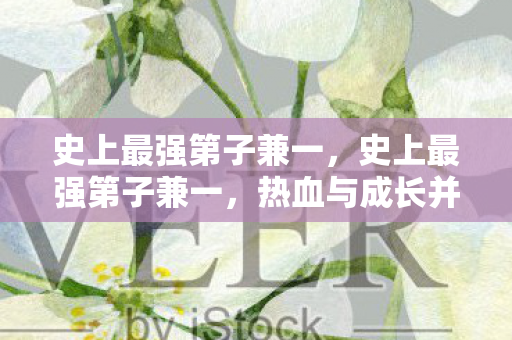 史上最强第子兼一,史上最强第子兼一,热血与成长并存的传奇之旅 史上最强第子兼一,史上最强第子兼一,热血与成长并存的传奇之旅