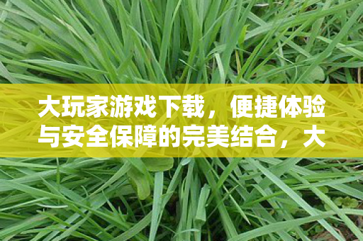 大玩家游戏下载，便捷体验与安全保障的完美结合，大玩家游戏，便捷体验与安全保障的完美融合