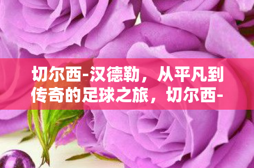 切尔西-汉德勒,从平凡到传奇的足球之旅,切尔西-汉德勒,从平凡到传奇的足球之旅 切尔西-汉德勒,从平凡到传奇的足球之旅,切尔西-汉德勒,从平凡到传奇的足球之旅