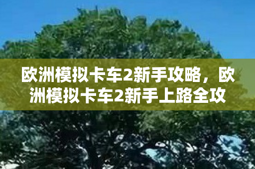 欧洲模拟卡车2新手攻略,欧洲模拟卡车2新手上路全攻略 欧洲模拟卡车2新手攻略,欧洲模拟卡车2新手上路全攻略