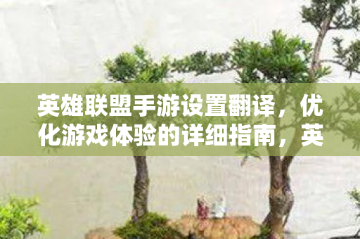 英雄联盟手游设置翻译,优化游戏体验的详细指南,英雄联盟手游,设置翻译,优化游戏体验的详细指南 英雄联盟手游设置翻译,优化游戏体验的详细指南,英雄联盟手游,设置翻译,优化游戏体验的详细指南
