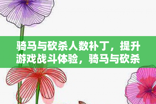 骑马与砍杀人数补丁，提升游戏战斗体验，骑马与砍杀，人数补丁提升战斗体验