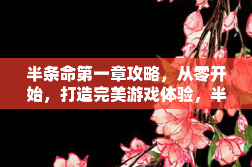 半条命第一章攻略,从零开始,打造完美游戏体验,半条命第一章攻略,从零开始打造完美游戏体验 半条命第一章攻略,从零开始,打造完美游戏体验,半条命第一章攻略,从零开始打造完美游戏体验