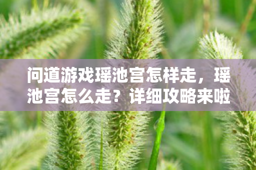 问道游戏瑶池宫怎样走图片