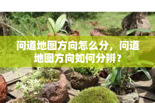 问道地图方向如何分辨图片
