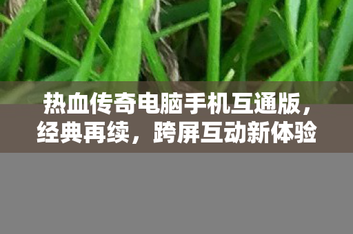 热血传奇电脑手机互通版,经典再续,跨屏互动新体验,热血传奇,经典再续,跨屏互动新体验 热血传奇电脑手机互通版,经典再续,跨屏互动新体验,热血传奇,经典再续,跨屏互动新体验