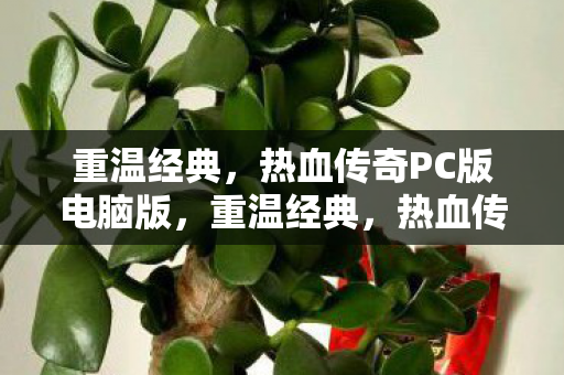 重温经典,热血传奇PC版电脑版,重温经典,热血传奇PC版电脑版 重温经典,热血传奇PC版电脑版,重温经典,热血传奇PC版电脑版