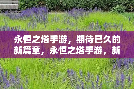 期待已久的新篇章图片