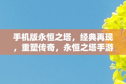 手机版永恒之塔图片